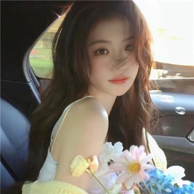 暴风雪中的白鸟