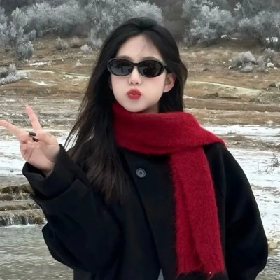 巅峰拍档第二十季